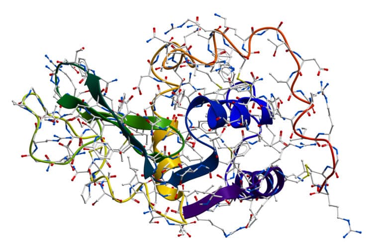 Lysozyme- The natural antibacterial enzyme